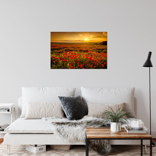 Runa Art Bild Mohnblumen Modern Wandbilder Wohnzimmer Schlafzimmer 1 Teilig - Made In Germany - Blumenwiese Sonnenutergang Rot Flur 043915a