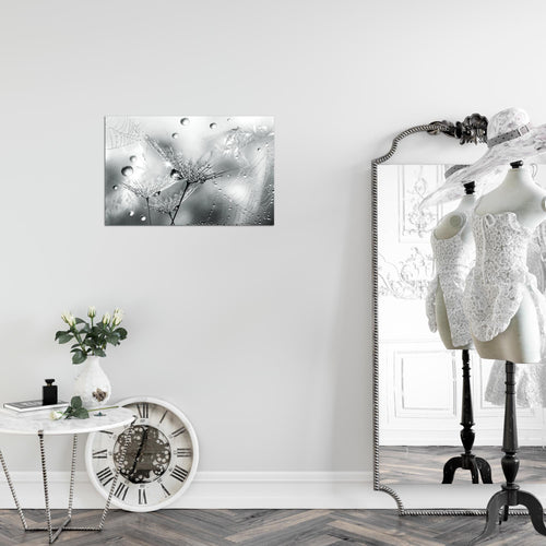 Runa Art Bild Blumen Pusteblumen Modern Wandbilder Wohnzimmer 1 Teilig - Made In Germany - Morgentau Schwarz Weiss Flur 043115c