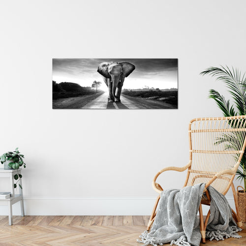 Runa Art Wandbild Afrika Elefant 100 x 40 cm Modern Bild auf Vlies Leinwand Tiere Wohnzimmer Schlafzimmer Schwarz Weiss 042612c