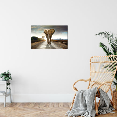 Runa Art Bild Afrika Elefant Modern Wandbilder Wohnzimmer Schlafzimmer 1 Teilig - Made In Germany - Tiere Braun Flur 042615a