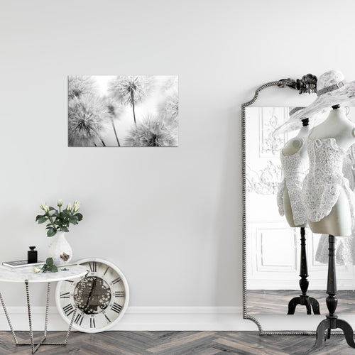 Runa Art Bild Blumen Pusteblumen Modern Wandbilder Wohnzimmer 1 Teilig - Made In Germany - Natur Schwarz Weiss Flur 042015c