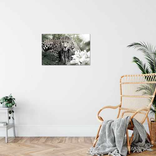 Runa Art Bild Afrika Leopard Modern Wandbilder Wohnzimmer Schlafzimmer 1 Teilig - Made In Germany - Tiere Schwarz Weiss Flur 006715c