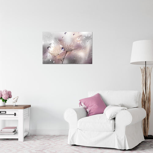Runa Art Bild Blumen Pusteblumen Modern Wandbilder Wohnzimmer 1 Teilig - Made In Germany - Morgentau Rosa Grau Flur 043115b