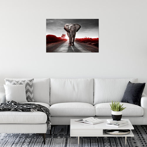 Runa Art Bild Afrika Elefant Modern Wandbilder Wohnzimmer Schlafzimmer 1 Teilig - Made In Germany - Tiere Rot Grau Flur 042615b