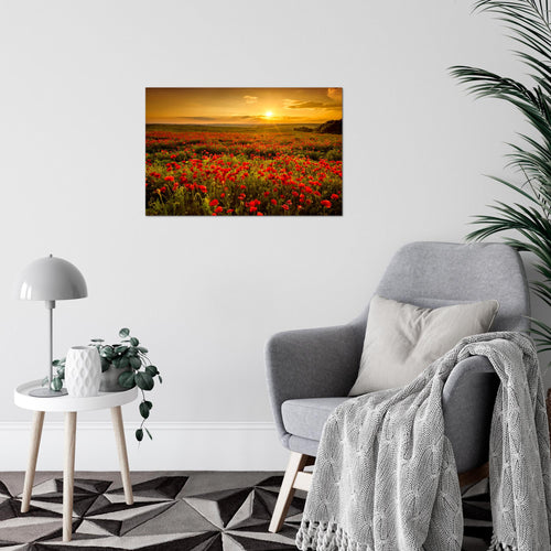 Runa Art Bild Mohnblumen Modern Wandbilder Wohnzimmer Schlafzimmer 1 Teilig - Made In Germany - Blumenwiese Sonnenutergang Rot Flur 043915a