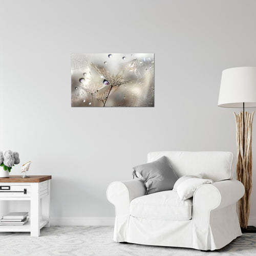 Runa Art Bild Blumen Pusteblumen Modern Wandbilder Wohnzimmer 1 Teilig - Made In Germany - Morgentau Braun Flur 043115a