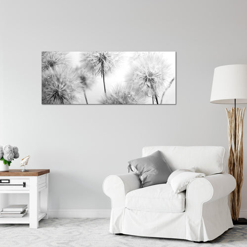 Runa Art Wandbild Blumen Pusteblumen 100 x 40 cm Modern Bild auf Vlies Leinwand Natur Wohnzimmer Schwarz Weiss 042012c