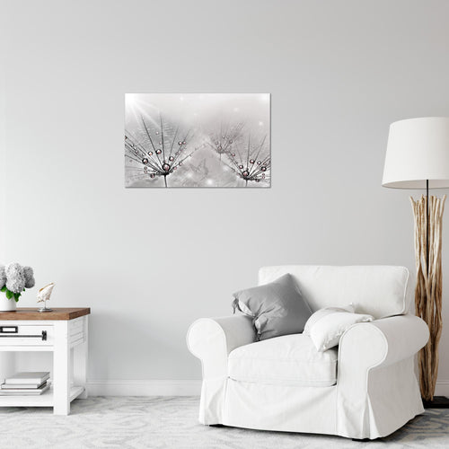 Runa Art Bild Pusteblume Modern Wandbilder Wohnzimmer Schlafzimmer 1 Teilig - Made In Germany - Natur Grau Flur 016915c