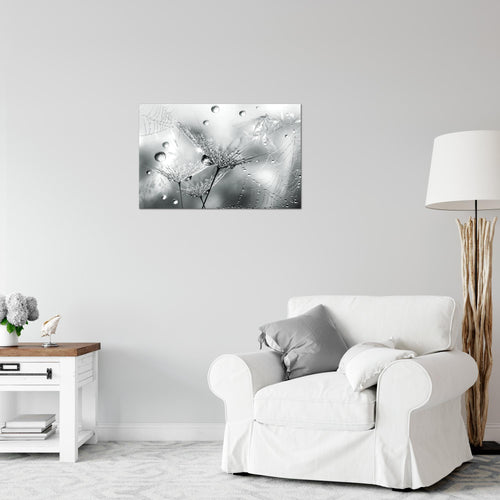Runa Art Bild Blumen Pusteblumen Modern Wandbilder Wohnzimmer 1 Teilig - Made In Germany - Morgentau Schwarz Weiss Flur 043115c