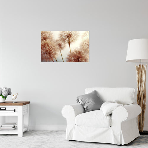 Runa Art Bild Blumen Pusteblumen Modern Wandbilder Wohnzimmer 1 Teilig - Made In Germany - Natur Beige Flur 042015b