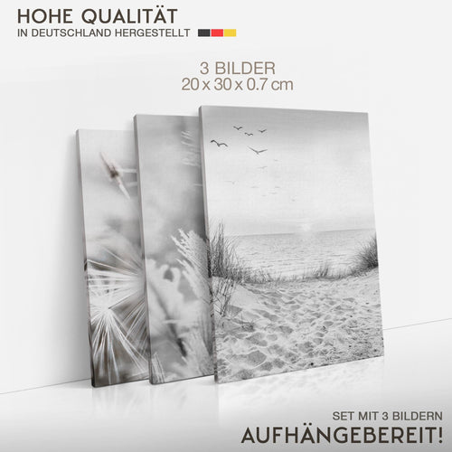 Novart Quadros Spiaggia Mare Boho - Completamente Pronto Da Appendere - Soggiorno Camera da letto Corridoio Decorazione Elegante - Set 3 Pezzi Grigio - N033830b