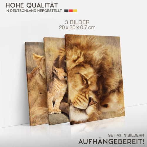 Novart Quadros Leoni Africa Animali - Completamente Pronto Da Appendere - Soggiorno Camera da letto Corridoio Decorazione Elegante - Set 3 Pezzi Beige - N036230a