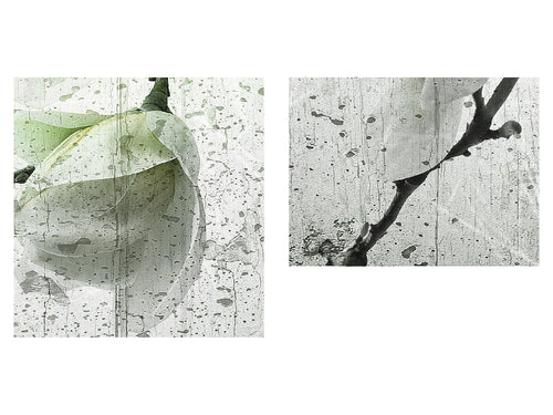 Runa Art Wandbild Blumen Magnolien 1 Teilig 100 x 40 cm Modern Bild auf Vlies Leinwand Abstrakt Wohnzimmer Grau Rosa 007712b