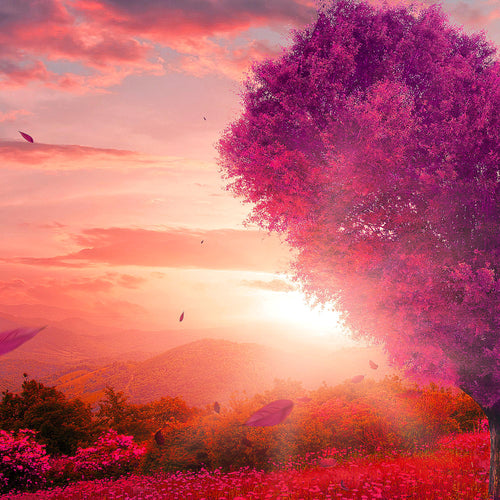 Runa Art Wandbilder Herbst Baum Herz 5 Teilig Bild auf Vlies Leinwand Deko Wohnzimmer Schlafzimmer Natur Rot Blau 605852a