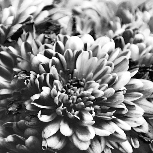 Novart Wandbilder Set Alte Stadt Palmen - KOMPLETT AUFHÄNGFERTIG - Made in Germany - Moderne Bilder  Wohnzimmer Schlafzimmer - N015064a