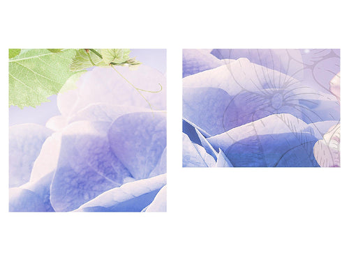 Runa Art Bild Blumen Hortensien Wandbilder auf Vlies Leinwand 5 Teilig Wanddekoration Wohnzimmer Schlafzimmer 017456c