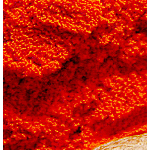 Runa Art - Bilder Küche Gewürze 200 x 100 cm 5 Teilig XXL Wanddekoration Design Rot 500451a
