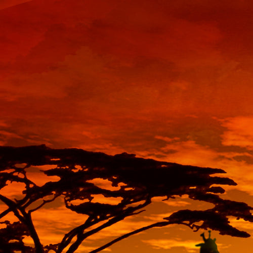 Runa Art Wandbild Afrika 100 x 40 cm Modern Bild auf Vlies Leinwand Orange Wohnzimmer Schlafzimmer Büro Sonnenuntergang 000212a