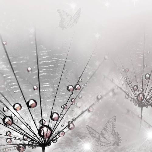 Runa Art Bild Pusteblume Wandbilder auf Vlies Leinwand 5 Teilig Wanddekoration Wohnzimmer Schlafzimmer 016956c