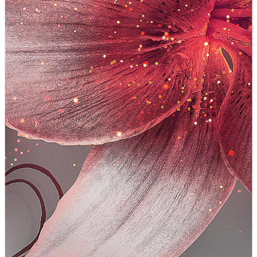 Runa Art Bild Blumen Lilien Wandbilder auf Vlies Leinwand 5 Teilig Wanddekoration Wohnzimmer Schlafzimmer 039656c