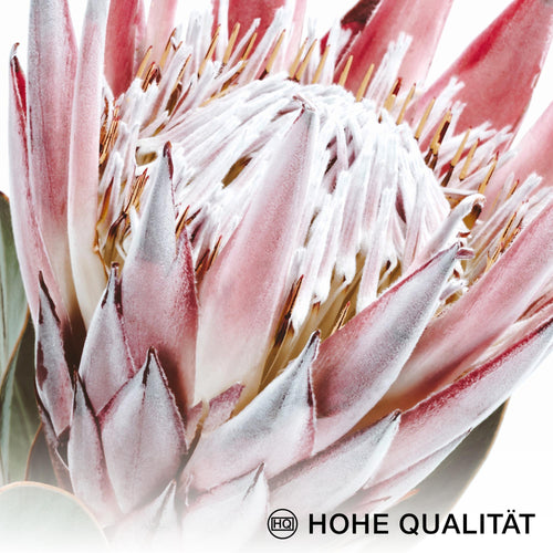 Novart Wandbilder Set Grüne Blätter Pflanze Natur Blumen  - KEIN EXTRA RAHMEN BENÖTIGT -  Modern Deko  - Wohnzimmer Schlafzimmer N005363a