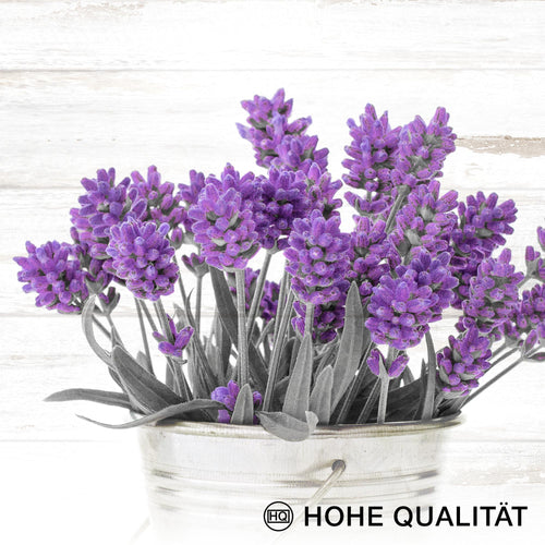 Novart Wandbilder Home Provence - KOMPLETT AUFHÄNGFERTIG - Lavendel Viollet Wohnzimmer Schlafzimmer - 7 Moderne Mood-Bilder - N003071a