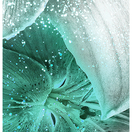 Runa Art - Bilder Blumen Lilien 200 x 100 cm 5 Teilig XXL Wanddekoration Design Schwarz Türkis 039651b