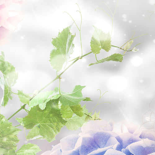 Runa Art Wandbild XXL Blumen Hortensien Wohnzimmer Schlafzimmer 200 x 80 cm Grau 5 Teilig - Made in Germany - 017455c