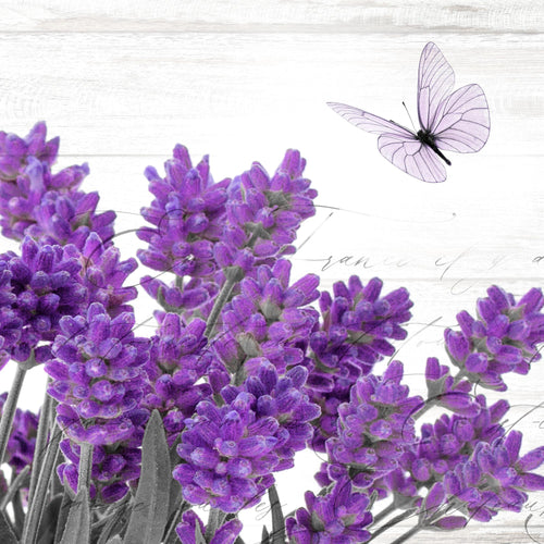 Novart Wandbilder Home Provence - KOMPLETT AUFHÄNGFERTIG - Lavendel Viollet Wohnzimmer Schlafzimmer - 7 Moderne Mood-Bilder - N002971a