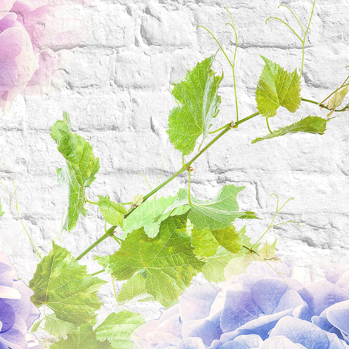 Runa Art Wandbild Blumen Hortensien 1 Teilig 100 x 40 cm Modern Bild auf Vlies Leinwand Ziegel Wohnzimmer Bunt 017512a