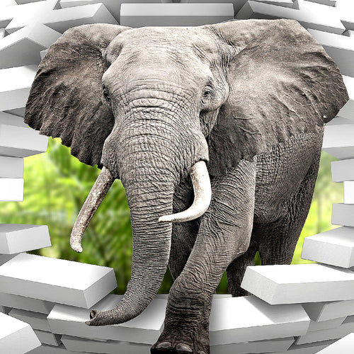 Runa Art Wandbild Elefant Abstrakt 1 Teilig 100 x 40 cm Modern Bild auf Vlies Leinwand Tiere Wohnzimmer Schlafzimmer Bunt 037412b