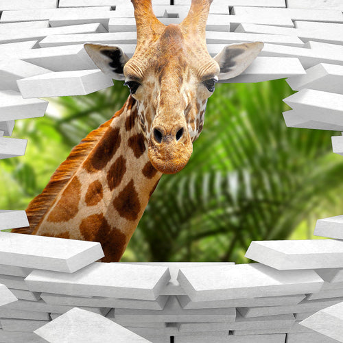 Runa Art Bild Giraffe Abstrakt Wandbilder auf Vlies Leinwand 5 Teilig Wanddekoration Wohnzimmer Schlafzimmer 037456c
