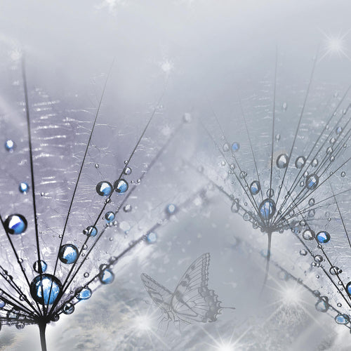 Runa Art Bild Pusteblume Modern Wandbilder Wohnzimmer Schlafzimmer 1 Teilig - Made In Germany - Natur Grau Flur 016915b