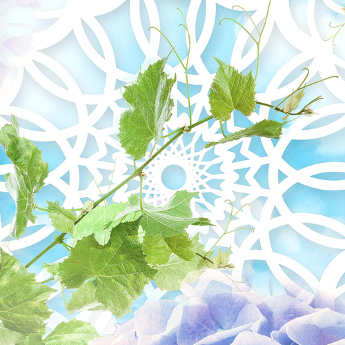 Runa Art Wandbild XXL Blumen Hortensien Wohnzimmer Schlafzimmer 200 x 80 cm Bunt 5 Teilig - Made in Germany - 017555b