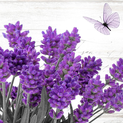 Novart Wandbilder Set Home Provence Lavendel Viollet - KEIN EXTRA RAHMEN BENÖTIGT -  Modern Deko  - Wohnzimmer Schlafzimmer N002963a