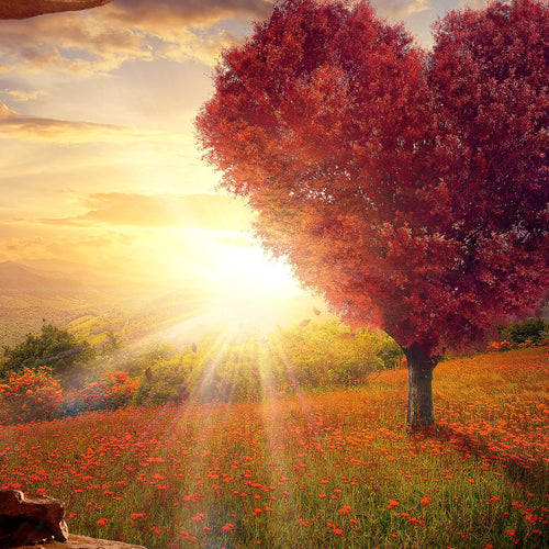 Runa Art Wandbilder Natur Gebirge 5 Teilig Bild auf Vlies Leinwand Deko Wohnzimmer Schlafzimmer Baum Herz Beige Rosa 607652c