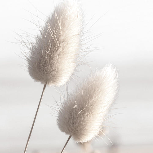 Novart Wandbilder - KEIN EXTRA RAHMEN BENÖTIGT - Wohnzimmer Schlafzimmer - Bilder Modern Strand Boho - Beige - N028165a