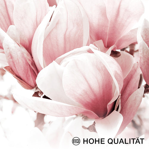 Novart Wandbilder - KEIN EXTRA RAHMEN BENÖTIGT - Wohnzimmer Mädchen Teenager - Bilder Modern Blumen - Rosa - N005065a