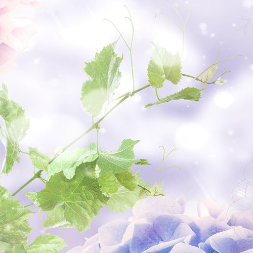 Runa Art Bild Blumen Hortensien Wandbilder auf Vlies Leinwand 5 Teilig Wanddekoration Wohnzimmer Schlafzimmer 017456b
