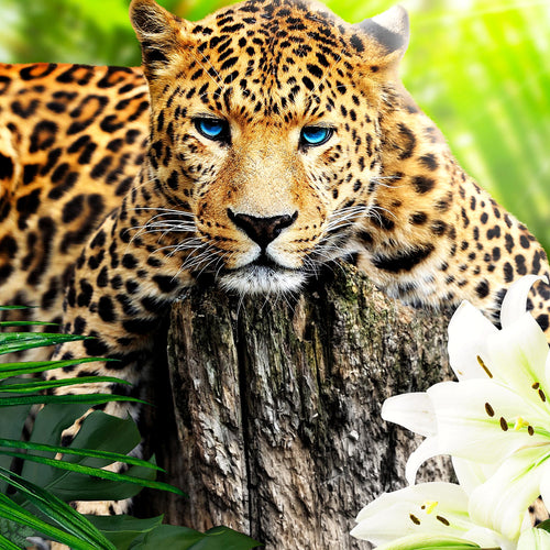 Runa Art Wandbilder Afrika Leopard Bild XXL Wohnzimmer Schlafzimmer Grün Raubkatze Dschungel 120 x 80 cm 3 Teilig 006731b