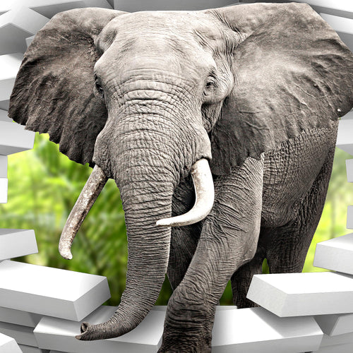 Runa Art Bild Elefant Abstrakt Wandbilder auf Vlies Leinwand 5 Teilig Wanddekoration Wohnzimmer Schlafzimmer 037456b