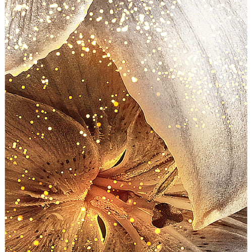 Runa Art - Bilder Blumen Lilien 200 x 100 cm 5 Teilig XXL Wanddekoration Design Gelb Gold 039651a