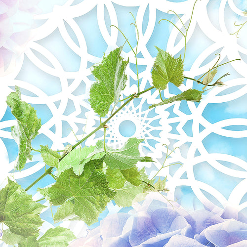 Runa Art Wandbild Blumen Hortensien 1 Teilig 100 x 40 cm Modern Bild auf Vlies Leinwand Mandala Wohnzimmer Bunt 017512b