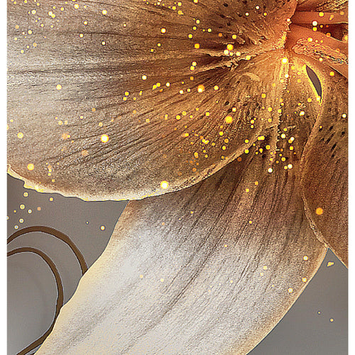 Runa Art Bild Blumen Lilien Wandbilder auf Vlies Leinwand 5 Teilig Wanddekoration Wohnzimmer Schlafzimmer 039656a