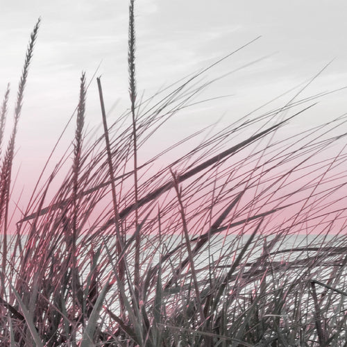 Runa Art Wandbild Landschaft 100 x 40 cm Modern Bild auf Vlies Leinwand Rosa Wohnzimmer Schlafzimmer Büro Strand 041712b