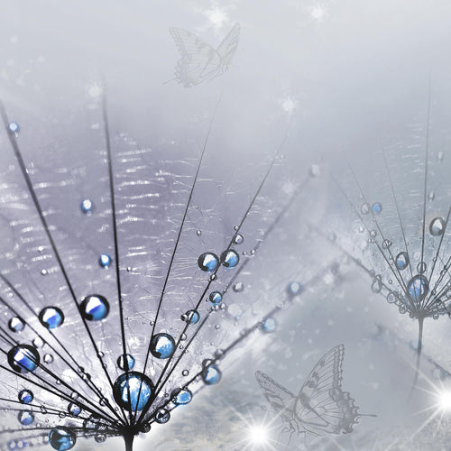 Runa Art Wandbild XXL Pusteblume Wohnzimmer Schlafzimmer 200 x 80 cm Grau 5 Teilig - Made in Germany - 016955b