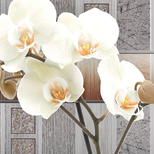 Runa Art - Bilder Blumen Pflanzen 200 x 100 cm 5 Teilig XXL Wanddekoration Design Orchidee Weiß 204651a