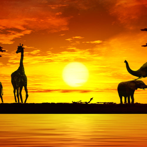 Runa Art - Bilder Afrika 200 x 100 cm 5 Teilig XXL Wanddekoration Design Sonnenuntergang Orange 000251a