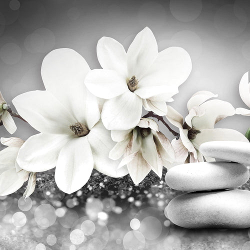 Runa Art Bild Blumen Magnolien Modern Wandbilder Wohnzimmer 1 Teilig - Made In Germany - Abstrakt Schwarz Weiss Flur 035415c