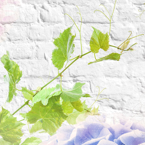 Runa Art Wandbild XXL Blumen Hortensien Wohnzimmer Schlafzimmer 200 x 80 cm Bunt 5 Teilig - Made in Germany - 017555a